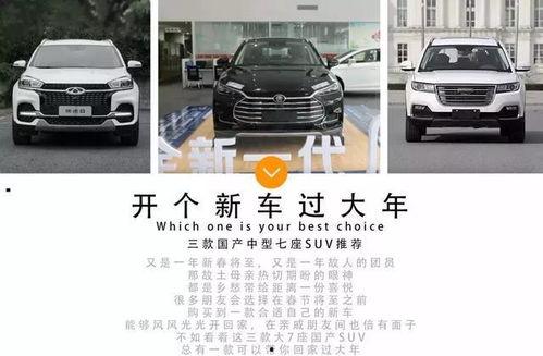 六七座国产车推荐吗视频 第1张 六七座国产车推荐吗视频 第1张