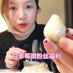 国产片草莓视频,国产影视新势力崛起