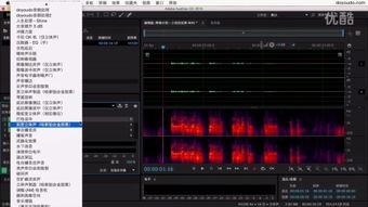 国产au在视频,引领新时代内容生产潮流