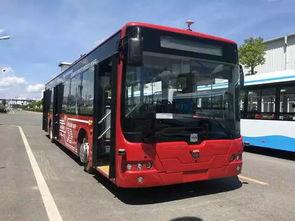 国产公交车亮相贵阳视频,展现中国制造新风采