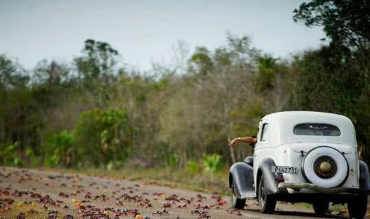 国产螃蟹走车视频大全