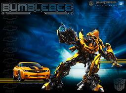 变形金刚国产短视频,国产短视频中的钢铁传奇