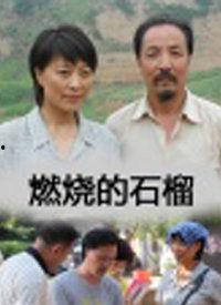 国产石榴高清免费视频,尽享视觉与味蕾的双重盛宴