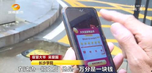 大爷国产手机视频在线观看,大爷视频带你领略最新国产手机魅力