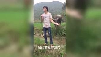 被窝国产福利视频在线,揭秘国内热门影视作品背后的故事