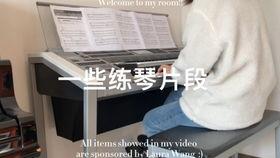 国产双排键操作视频,轻松入门，体验音乐魅力