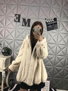 国产貂皮与进口貂皮视频,国产与进口貂皮品质对比揭秘