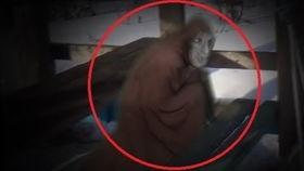 老外看国产幽灵视频,老外视角下的神秘现象解析