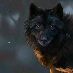 国产魔界黑狼视频大全,国产奇幻巨制视频大全精彩回顾