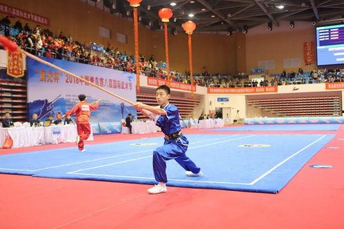 国产武术比武视频大全