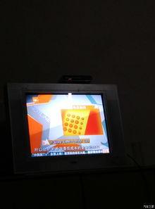 小强实验室国产极光视频