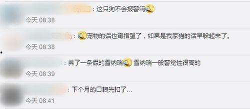 国产盗取网络监控视频,技术手段与防范策略